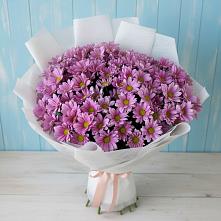 Букет цветов из:  Хризантемы в Бурее