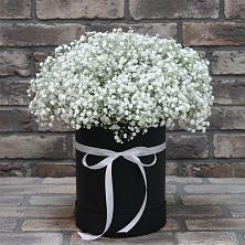 Цветочная композиция из Гипсофила в шляпной коробке в Бурее